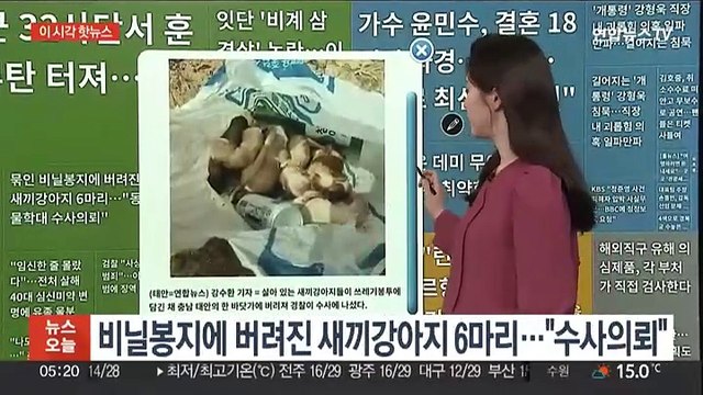 [이 시각 핫뉴스] 비닐봉지에 버려진 새끼강아지 6마리…