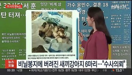 [이 시각 핫뉴스] 비닐봉지에 버려진 새끼강아지 6마리…"수사의뢰" 外