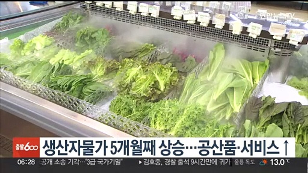 생산자물가 5개월째 상승…공산품·서비스↑