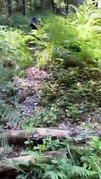 Hicking is fun had lovely time with friends enjoying the nature