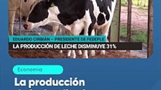 La producción de leche disminuye en 31%
