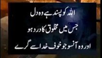 islamic hazrat Ali ke aqwal e zareen in Urdu/islamic quotes about life