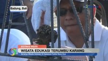 Serunya Wisata Edukasi Terumbu Karang di Kawasan Pantai Nusa Dua Bali