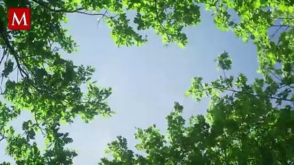 Te decimos cuándo ingresa el anticiclón y por qué las temperaturas subirán a más de 40°C