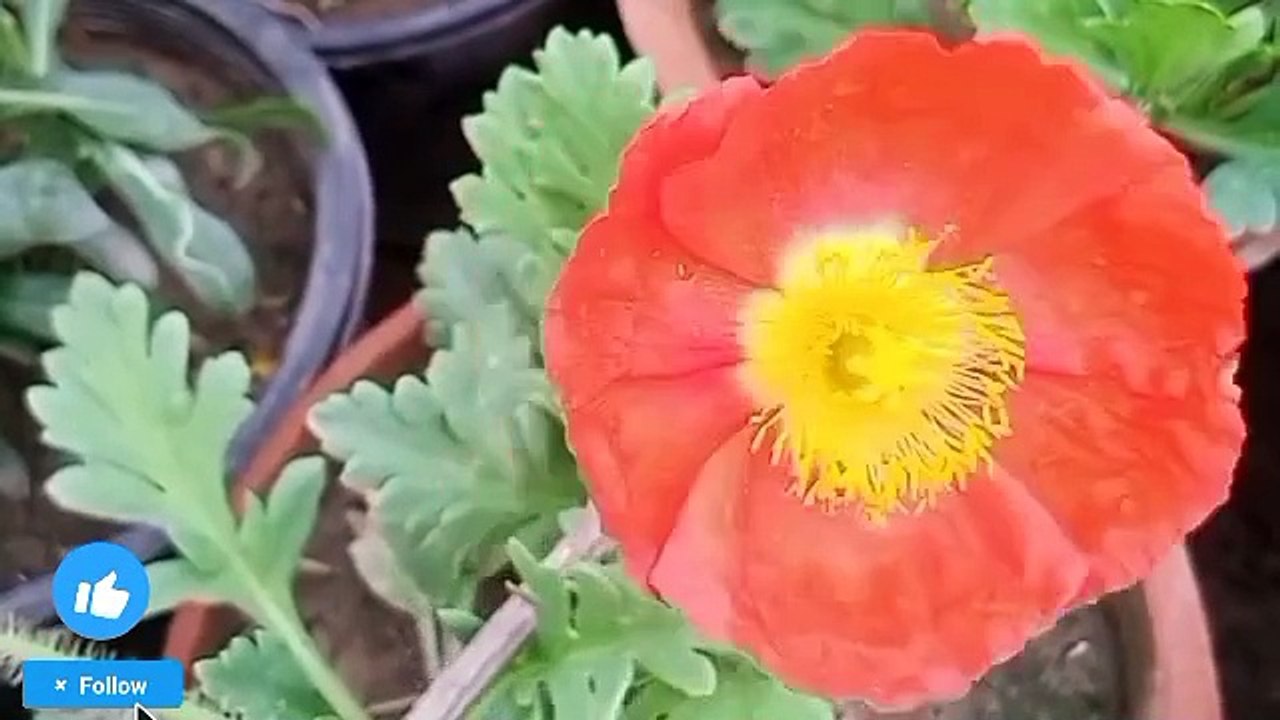 Manzil dua | Manzil dua by mishary | Episode 4 | Manzil dua with urdu translation | Manzil dua fast | Manzil dua without ads | Manzil dua by sudais | Recitation | Manzil dua tarjuma ke sath | Manzil dua qari basit | Surah manzil