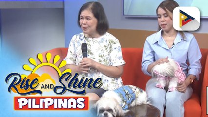 Mga adorable shih tzu na sina Chichi at Ashi, kilalanin!