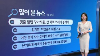 강아지/항공기추락/강형욱/치킨값/배송기사 [앵커리포트] / YTN
