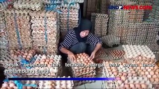 Harga Telur Ayam di Pasar Panimbang Pandeglang Banten Tembus Rp31.000 per Kg