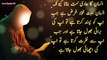 Images Collection | Hazrat Ali Quotes In Urdu | Collection Of Islamic Coutes | Hazrat Ali Aqwal e Zareen