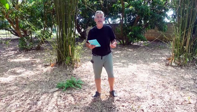 Auswandern, aber wie_ Teil 3 #thailand #thailand2023 #ausgewandert #auswanderung #erfahrungen (1080p_60fps_H264-128kbit_AAC)