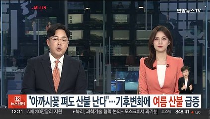 "아까시나무 꽃 펴도 산불 난다"…기후변화에 여름 산불 급증