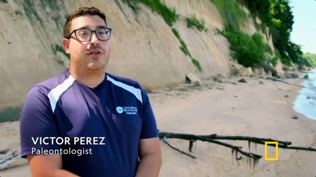 NATIONAL GEOGRAPHIC - SEGREDOS DE FERAS GIGANTES - SEGREDOS DO MEGALODONTE ASSASSINO