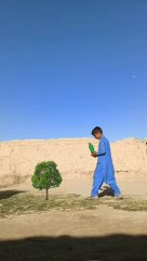 Funny video clip , beautiful video,