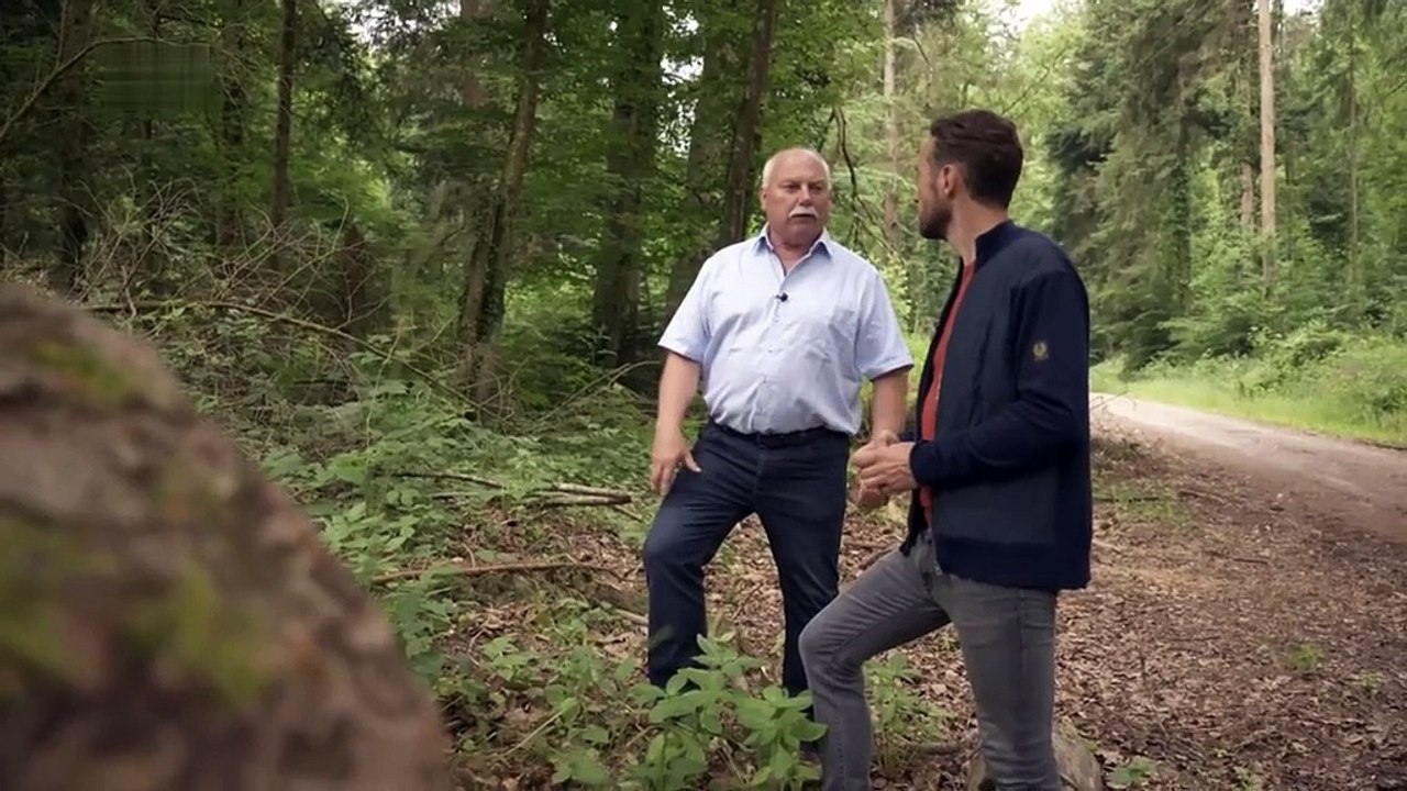 XY-gelöst Tödliche Entführung (2022)