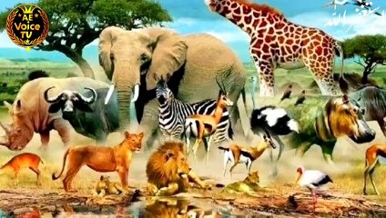 Bismillah Al rehmane Rahim Ki fazilat_Power of Bismillah