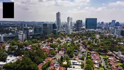 Alertan por supercucaracha en México; resiste hasta 5 tipos de pesticidas