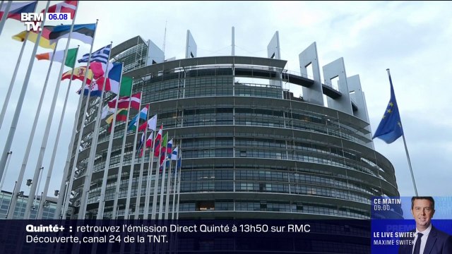 Européennes: ces petites listes en quête de visibilité