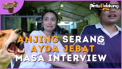 Ayda Jebat kena serang anjing masa interview | Pintu Belakang The Hardest Singing Show