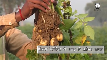Shriram Reprozin Fertilizer: Transforming Crop Growth