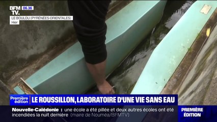 Dans le Roussillon, pour pallier la sécheresse, le gouvernement va présenter un "plan de résilience"