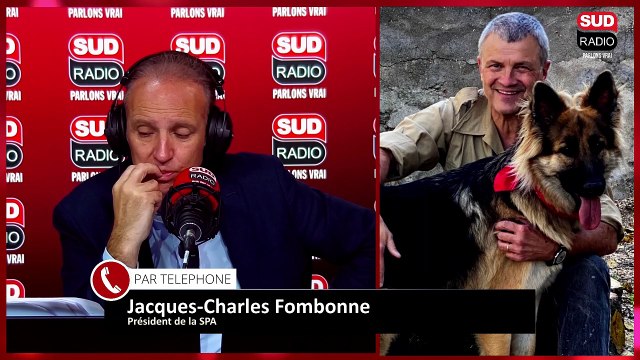 Faut-il donner plus d’importance à nos animaux domestiques ?