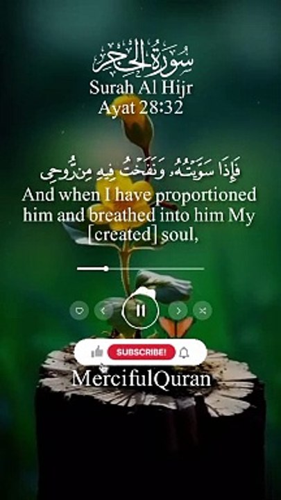 فَسَجَدَ الۡمَلٰٓئِکَۃُ کُلُّہُمۡ اَجۡمَعُوۡنَ #viral #shorts #viralvideo #shortvideo #emotional