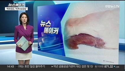 [뉴스메이커] 이번엔 '백화점 비계 삼겹살' 논란