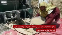 Farmers in Punjab to protest against government after their deadline passed- BBC UrduFarmers in Punjab to protest against government after their deadline passed- BBC Urdu 1