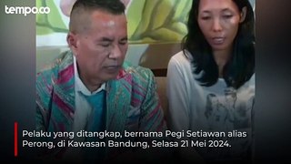 Pegi Alias Perong Terduga Pelaku Pembunuhan dan Pemerkosaan Vina Cirebon Ditangkap