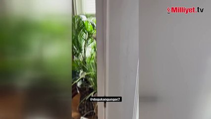 Doğukan Güngör kız arkadaşıyla yakalanmıştı! Rol arkadaşı o anları ti'ye aldı