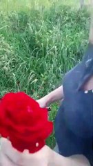 Șogor Tiberiu Adrian 21/05/2021