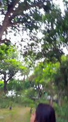 ভালোবাসা ভালোবাসা  | Whatsapp status | #reels | Short video