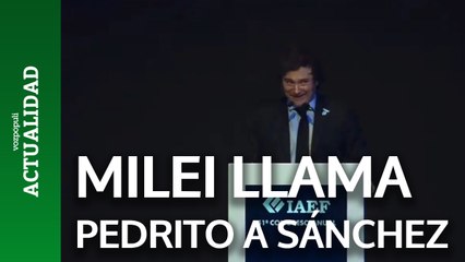 Milei, sobre Sánchez: "Ya lo tengo match point a Pedrito"