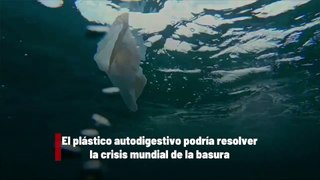 El plástico autodigestivo podría resolver la crisis mundial de la basura