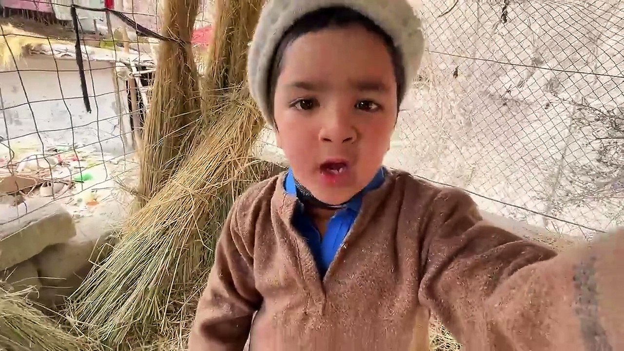 Meri Kabotar Cat Kha Gai