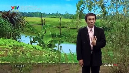 แวดวงเพลงเวียดนาม (Dân ca nhạc cổ) - Bạn đời ơi cho nhắn