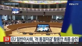 EU, '러 동결자산 수익' 우크라 지원에 쓰기로…러 반발할 듯