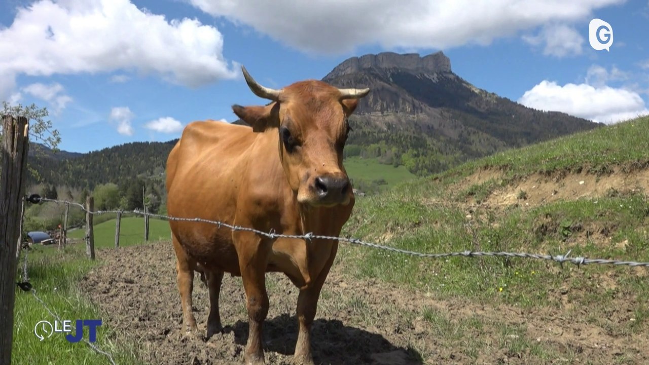 Le JT - 21/05/24 - Arc industrie, Place aux enfants, Céline Imart, Dylan Florit
