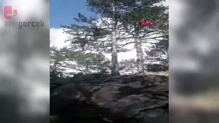 Kazdağları’nda motosikletiyle gezen sürücü boz ayıyı görüntüledi