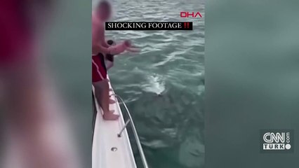 Şok görüntüler! Katil balinanın üzerine atladı... Para cezası aldı