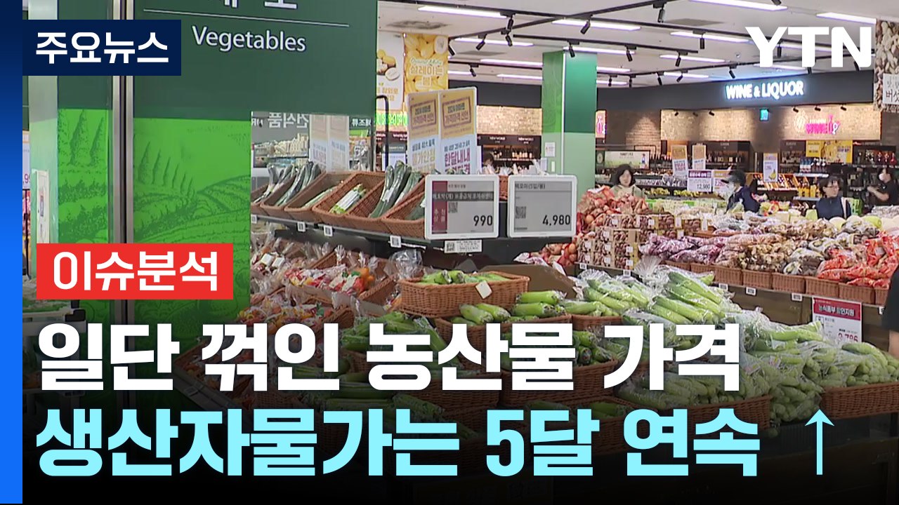 [경제PICK5] 농산물 가격 꺾였지만...생산자물가 또 올라 / YTN