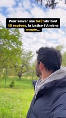 Mauvais timing !