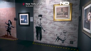 Usa, inaugurato il museo di Banksy a New York: la più grande collezione di murales dell'artista
