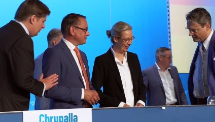 AfD verhängt Auftrittsverbot für Europa-Spitzenkandidat Krah