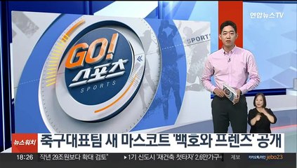 축구대표팀 새 마스코트 '백호와 프렌즈' 공개