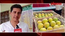 '४७ जातीचे आंबे' खवय्यांना आंबा महोत्सवात करतायत