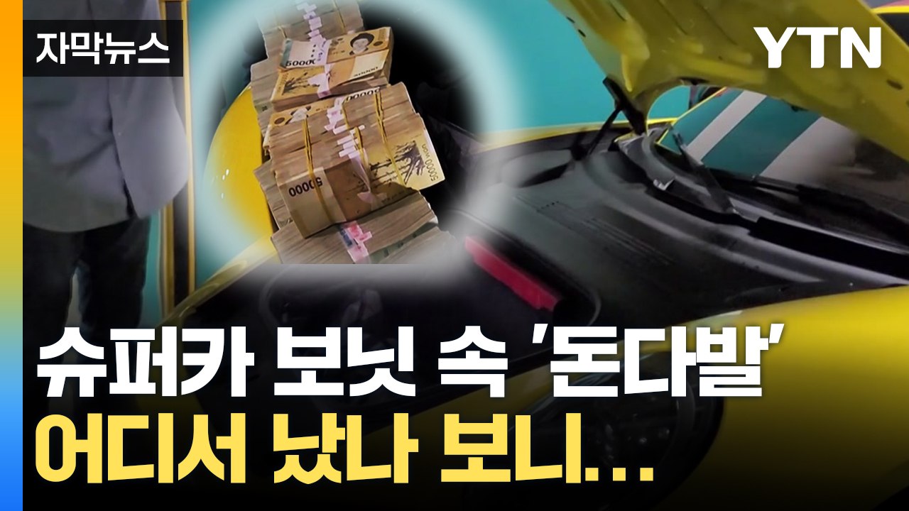 [자막뉴스] 외제차 보닛 열자 "세상에"...꼬리 잡힌 이들의 정체 / YTN