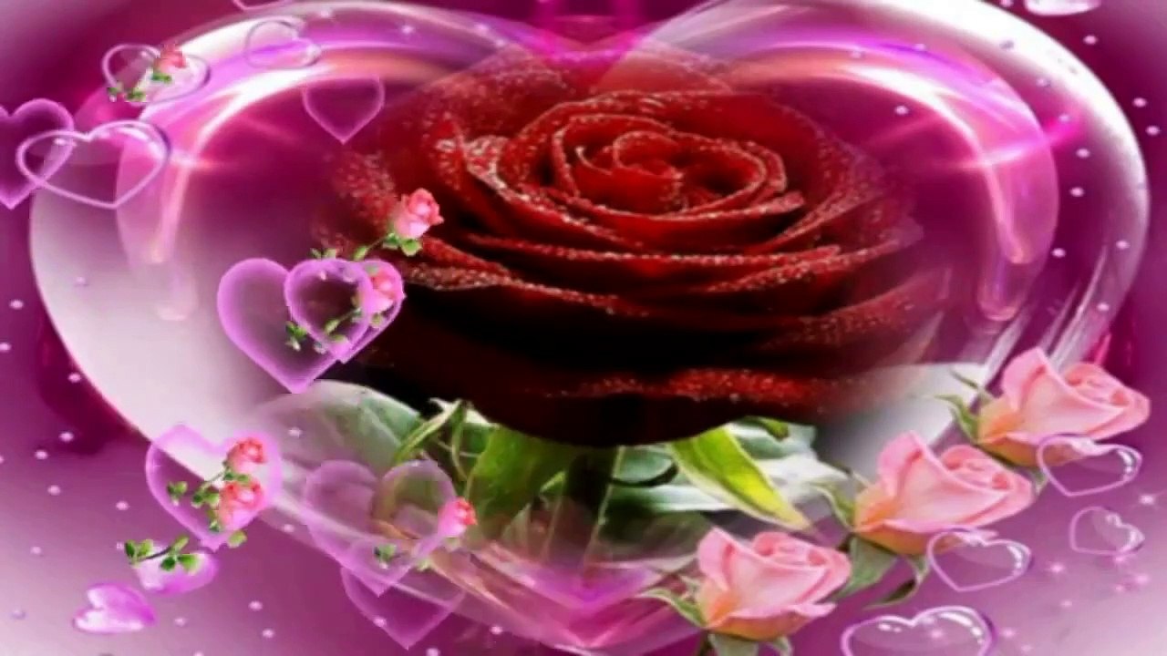 MY SWING OF THE ROSE