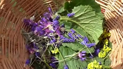 Binbir zahmetle topluyor: 41 çiçekten organik reçel elde ediyor