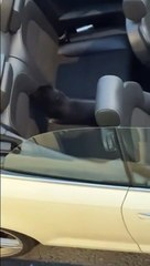 Ce chat a trouvé le grattoir à griffe parfait... voiture en cuir décapotable